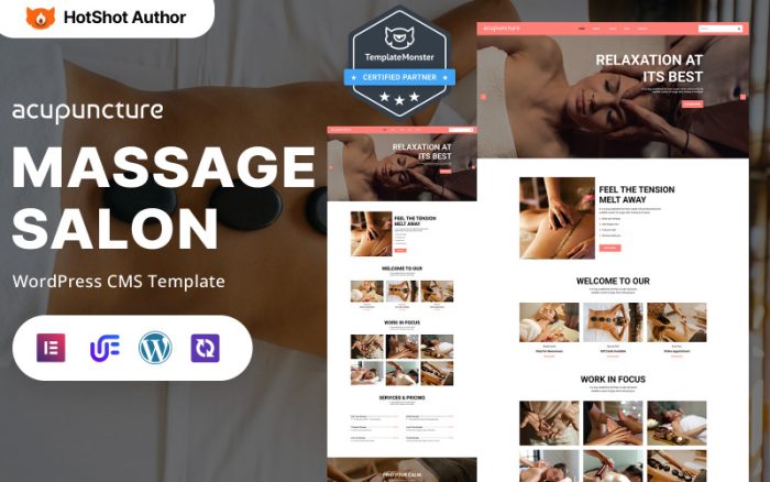 Akupunktur - Lüks Spa ve Sağlık WordPress Mobil Uyumlu Teması