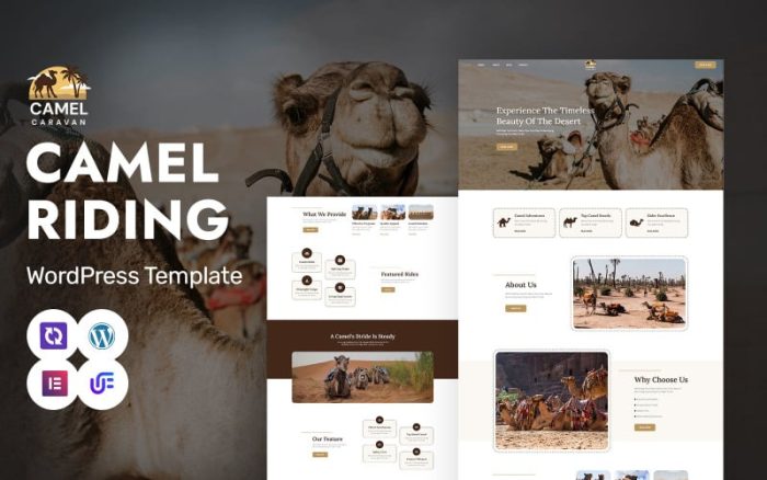 Deve Kervanı - Deve Safarisi ve Macera Turları WordPress Elementor Teması
